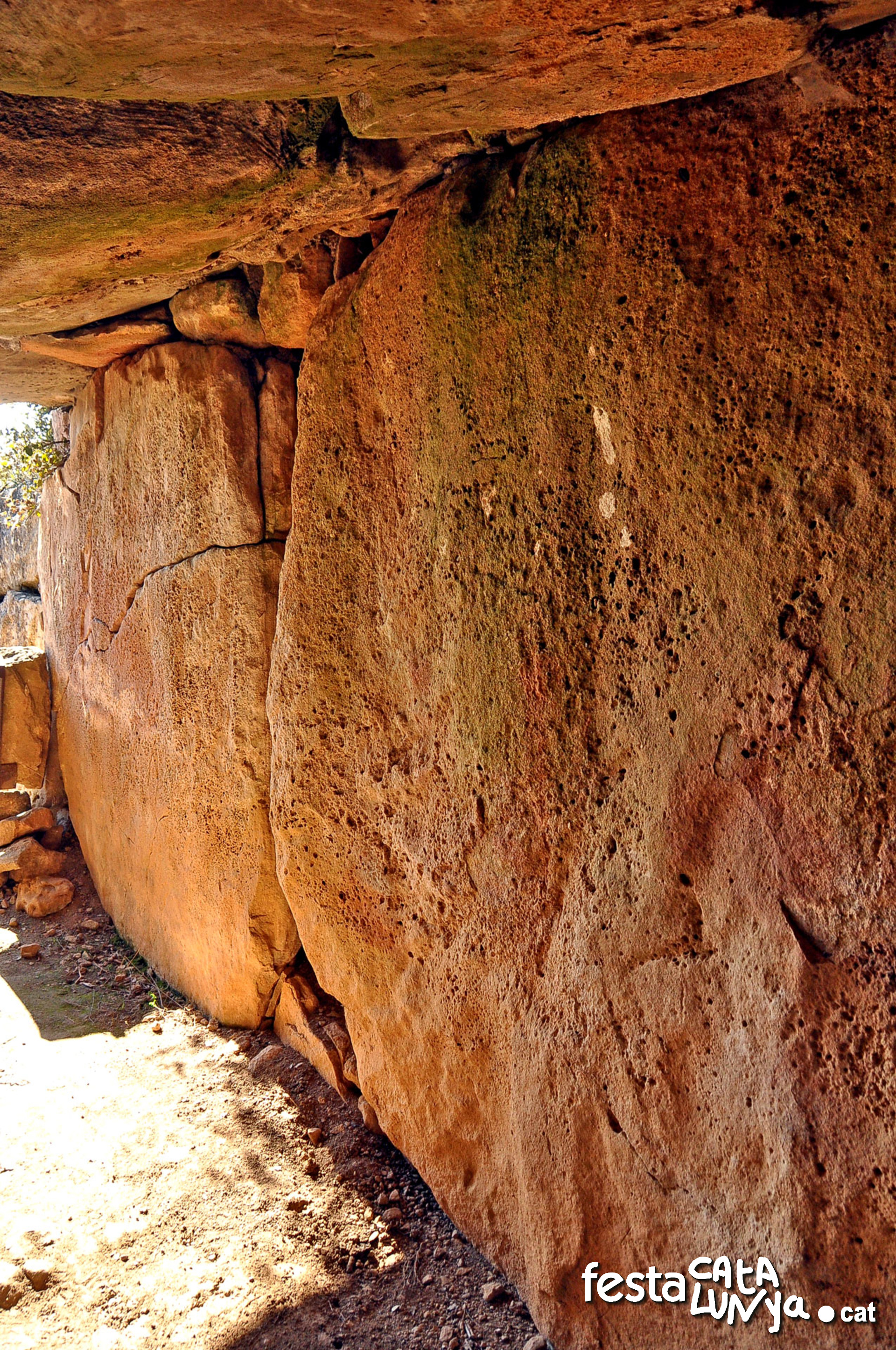 Dolmen de Llanera o de la Torre dels Moros - Torà