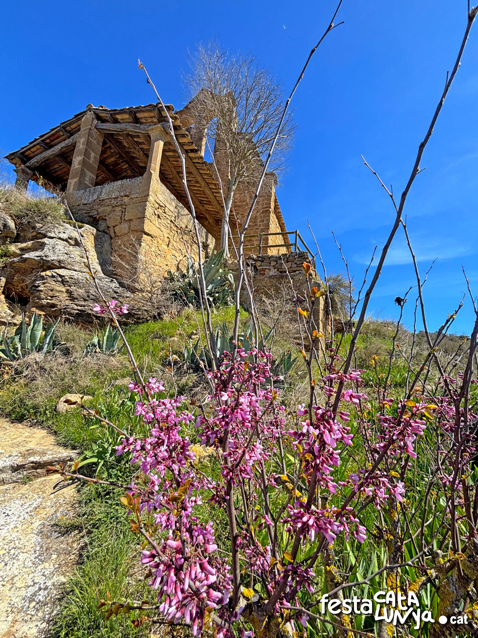 Sant Miquel de Fontanet - Torà