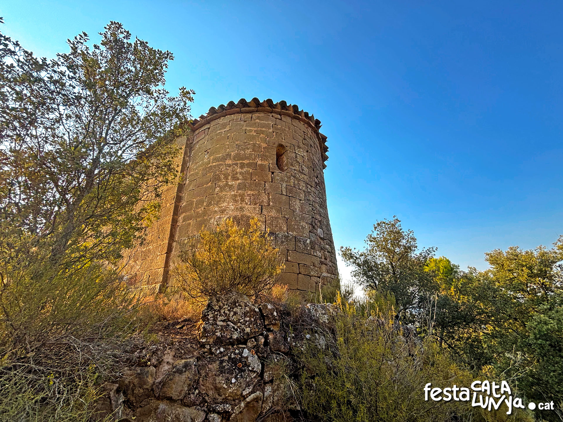 Sant Pere de Figuerola - Torà
