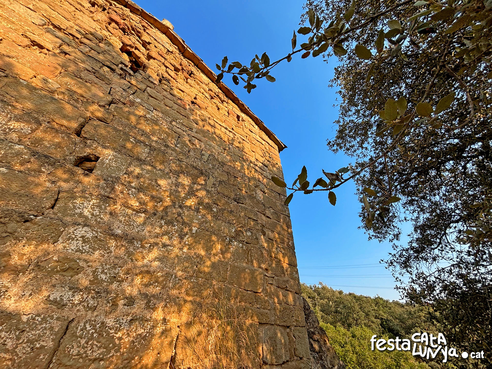 Sant Pere de Figuerola - Torà
