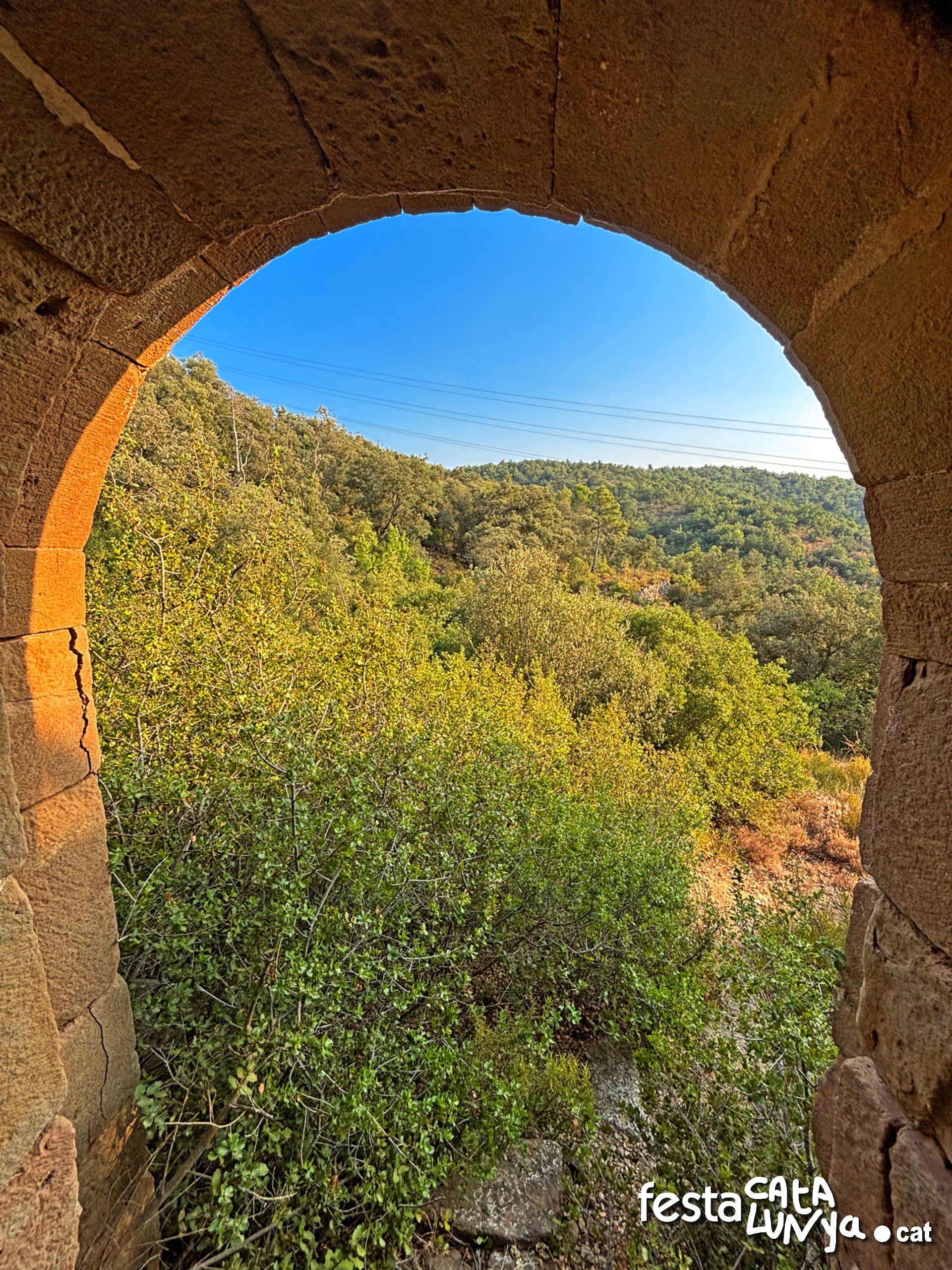 Sant Pere de Figuerola - Torà