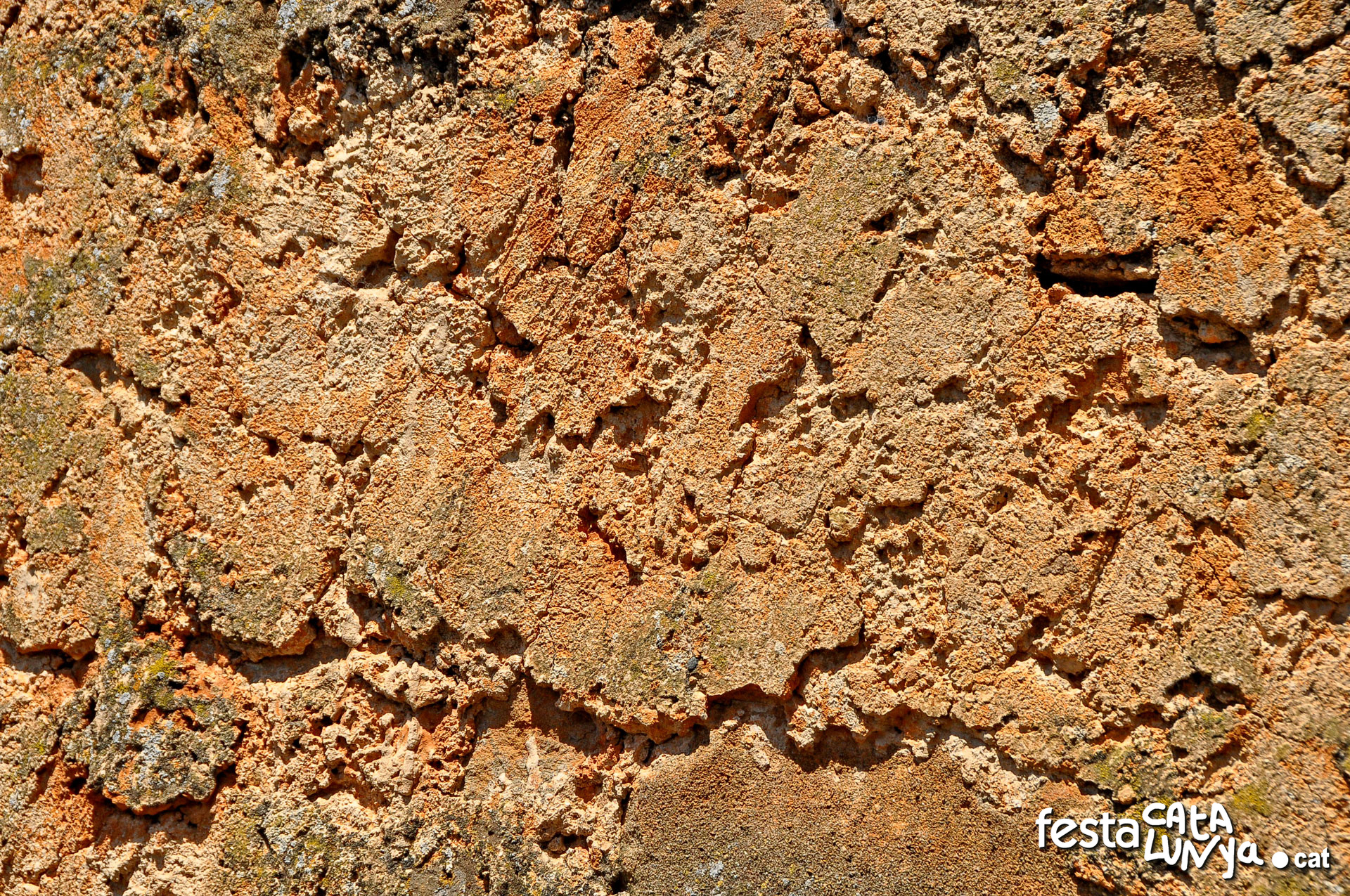 Torre de Vallferosa - Torà