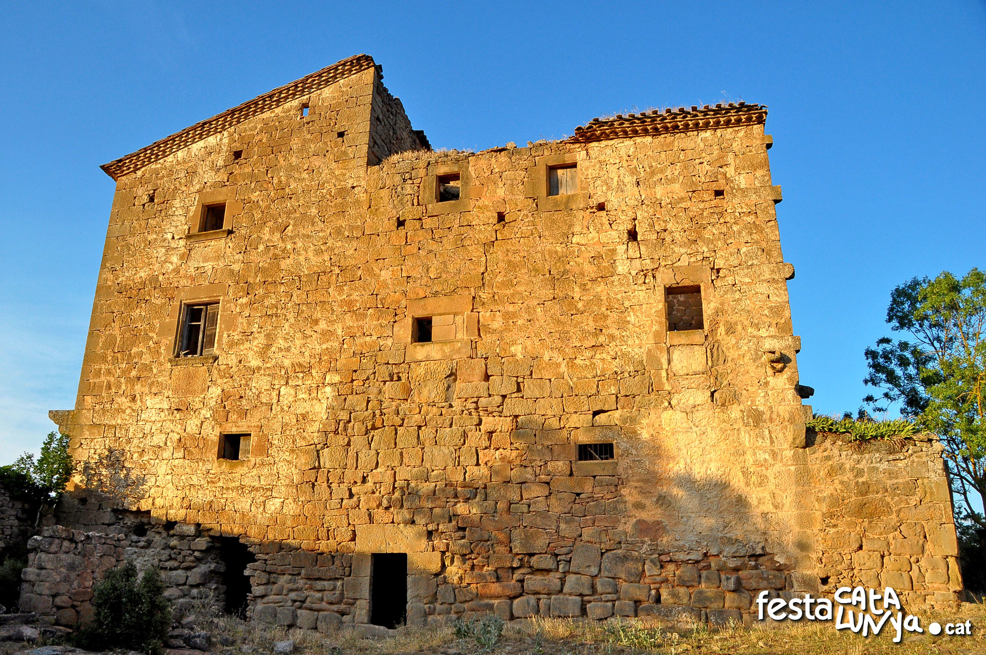 Castell de Llanera o dels Vilaró - Torà