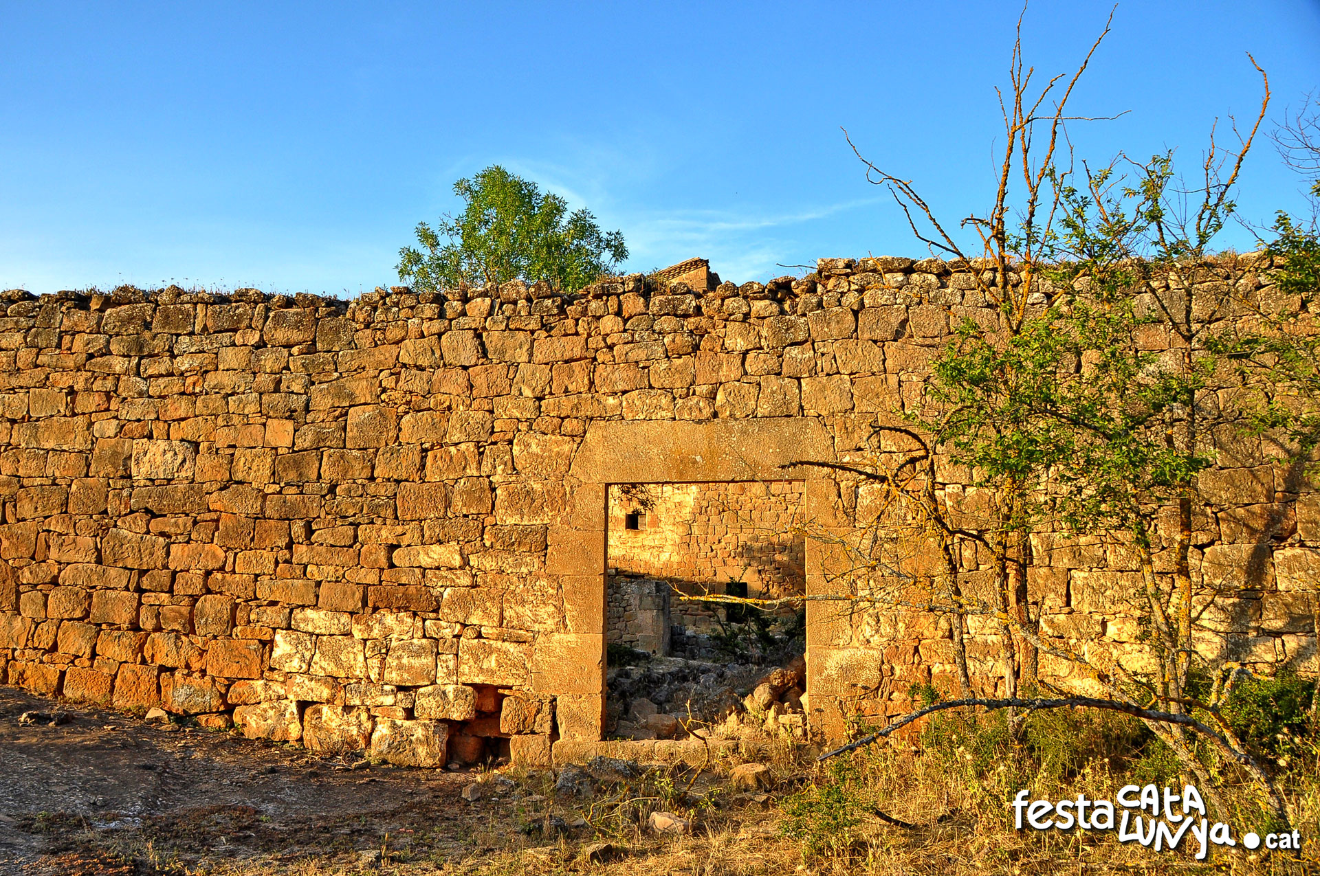 Castell de Llanera o dels Vilaró - Torà