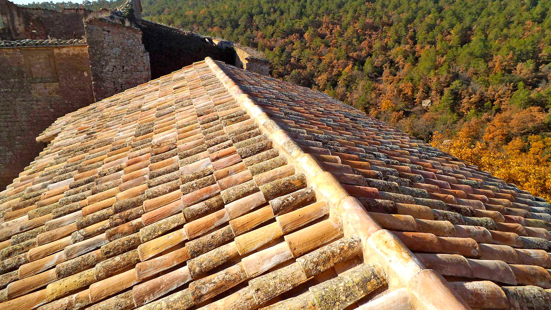 Sant Martí de Llanera - Torà (Foto: Ajuntament)