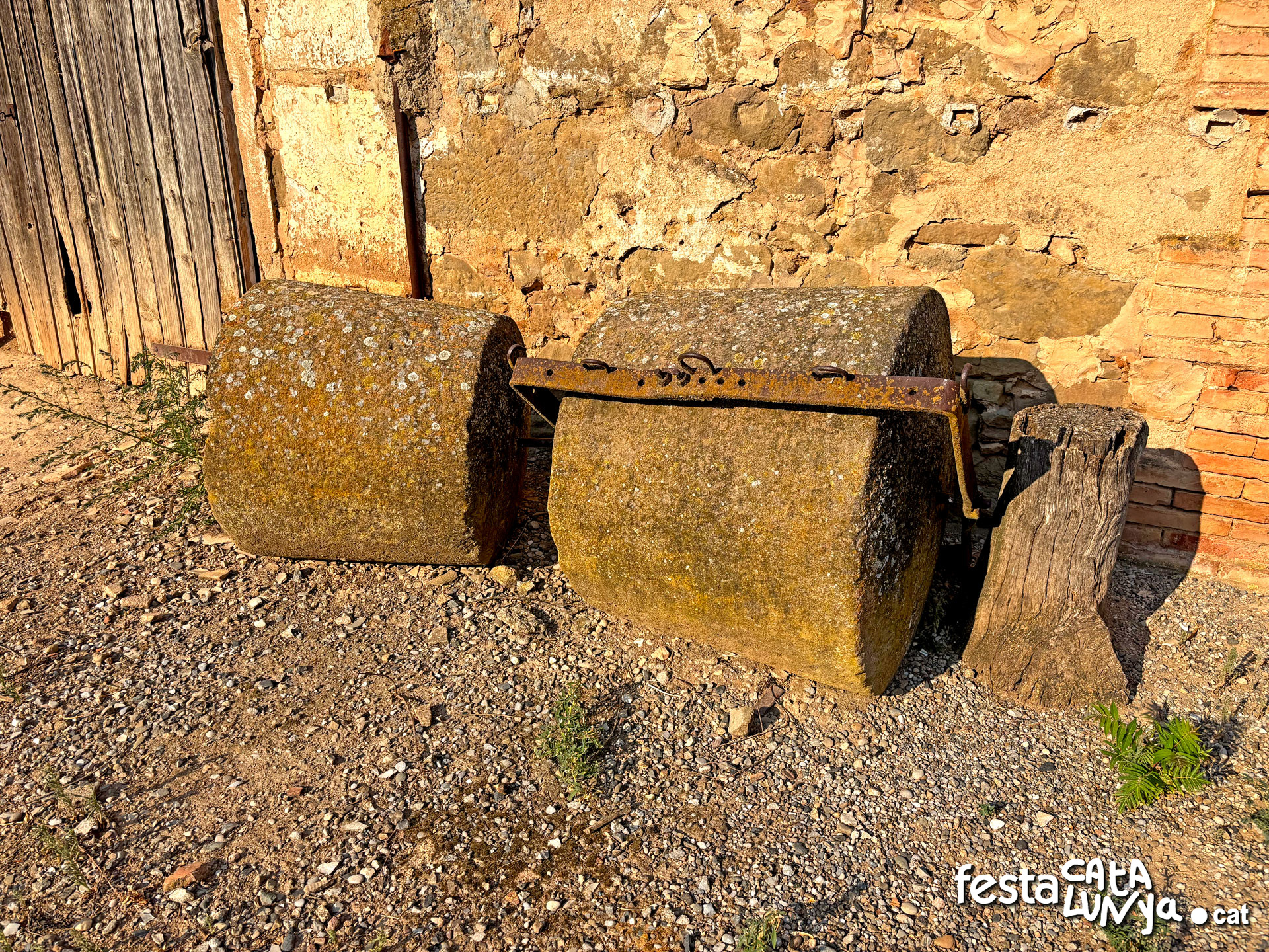 Sant Joan de Puig Redon - Torà
