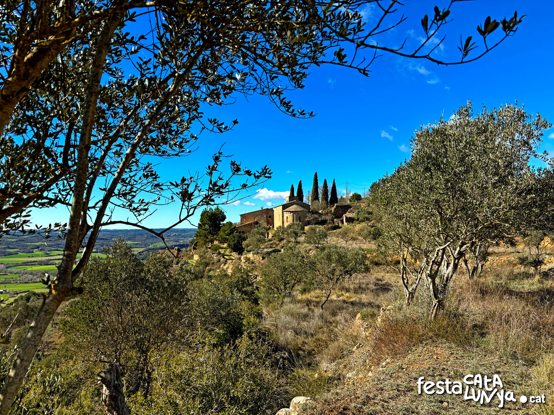 Santa Maria de l'Aguda - Torà