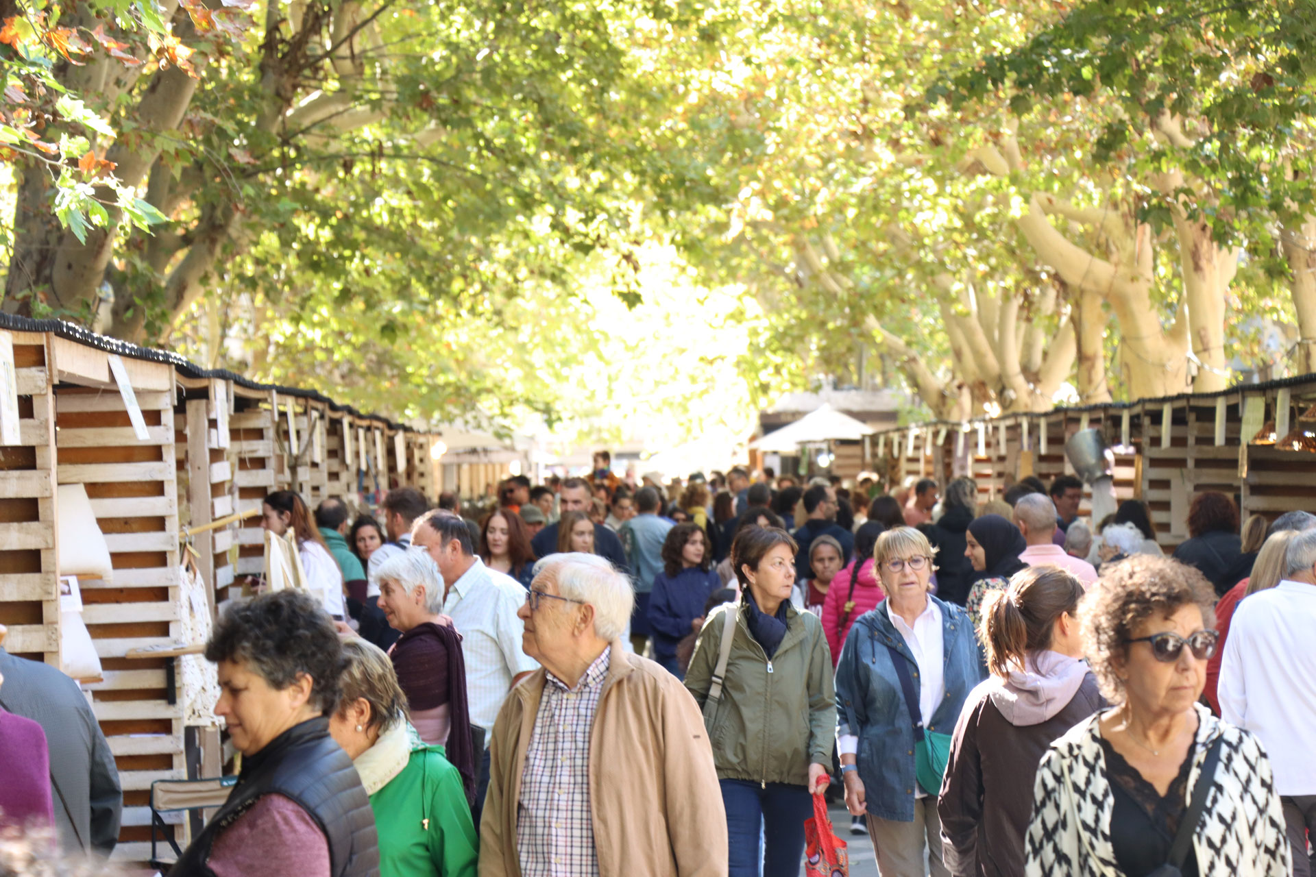 Ecoviure a Manresa