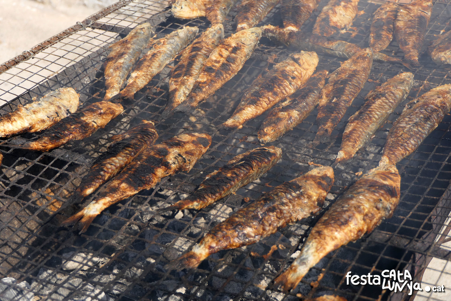 Festa de la Costa a Horta de Sant Joan