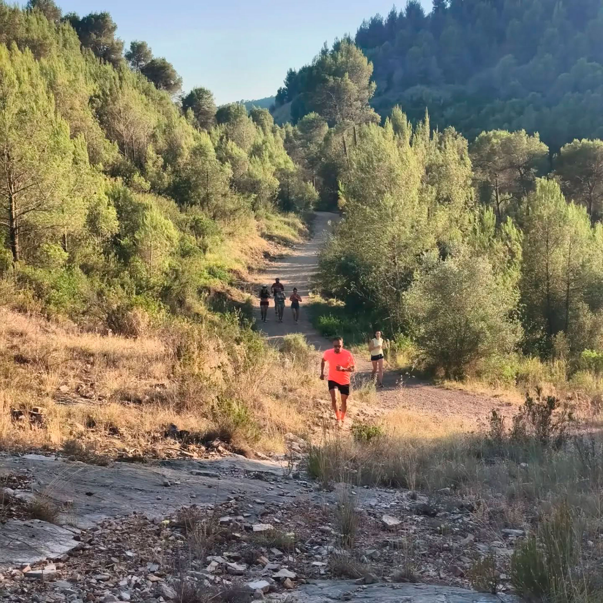 Rural Trail - Bigues i Riells del Fai (Foto: Rural Trail BiR)