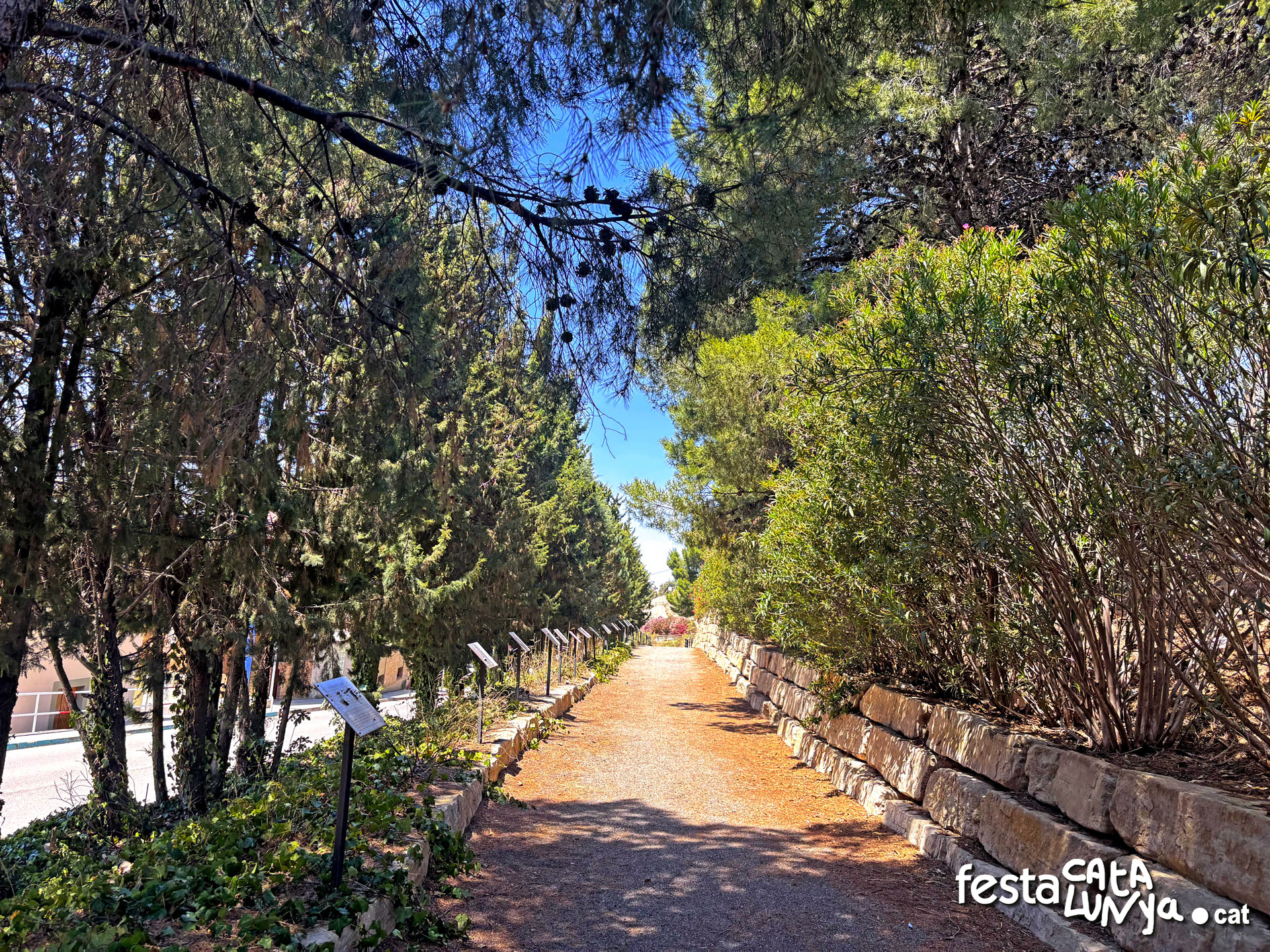 Passeig de les Lletres - Almacelles