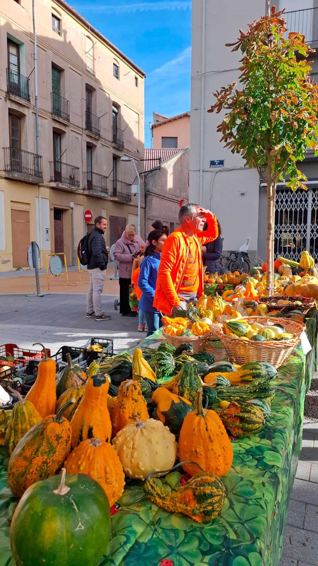 Fira de la Tardor - Sant Joan de les Abadesses (Foto: Ajuntament)