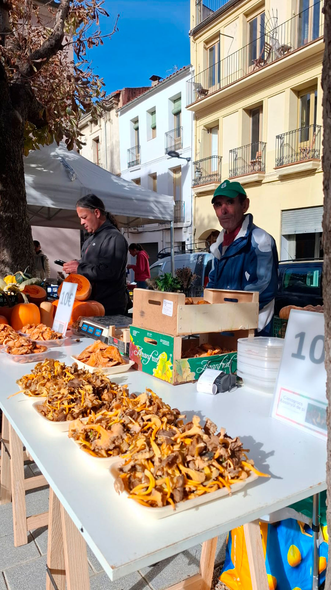 Fira de la Tardor - Sant Joan de les Abadesses (Foto: Ajuntament)
