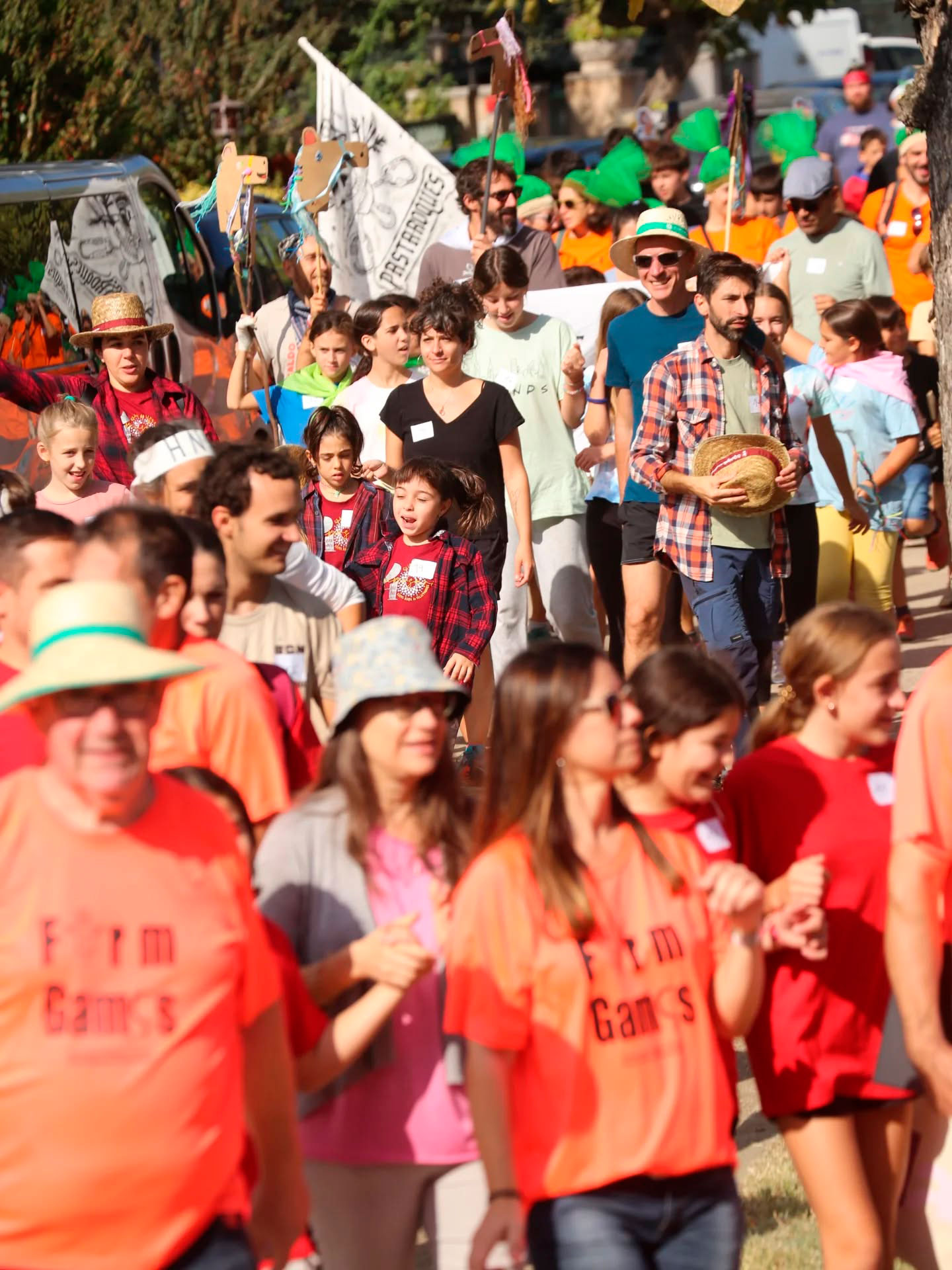 Festa Major Aplec del Remei - Santa Maria de Palautordera (Foto: Ajuntament)