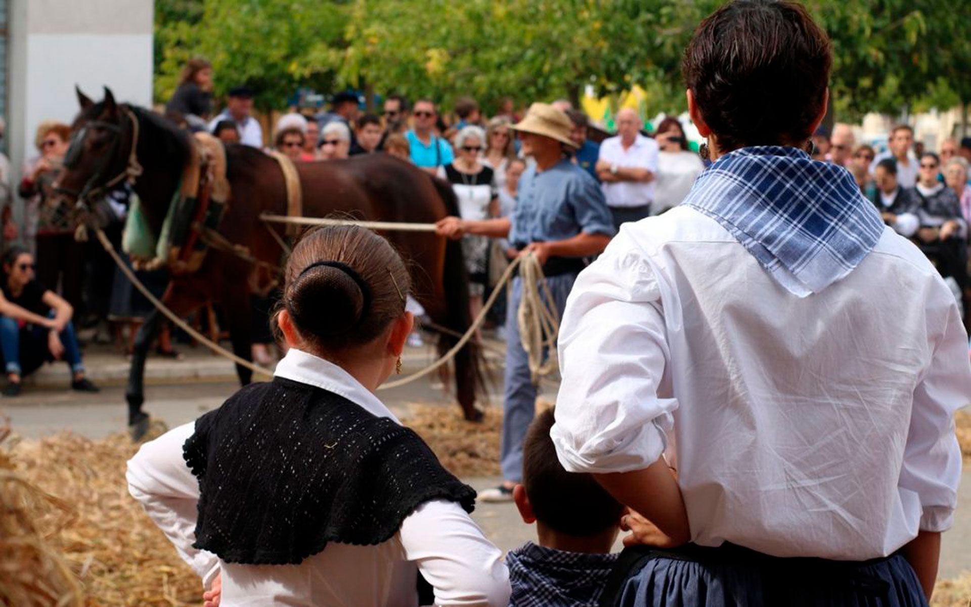 Orígens a La Ràpita