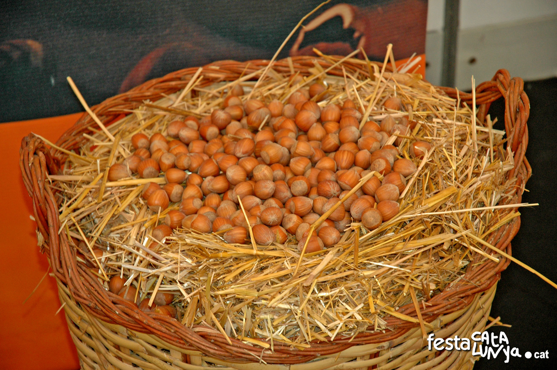 Festa de la Pagesia de Prades