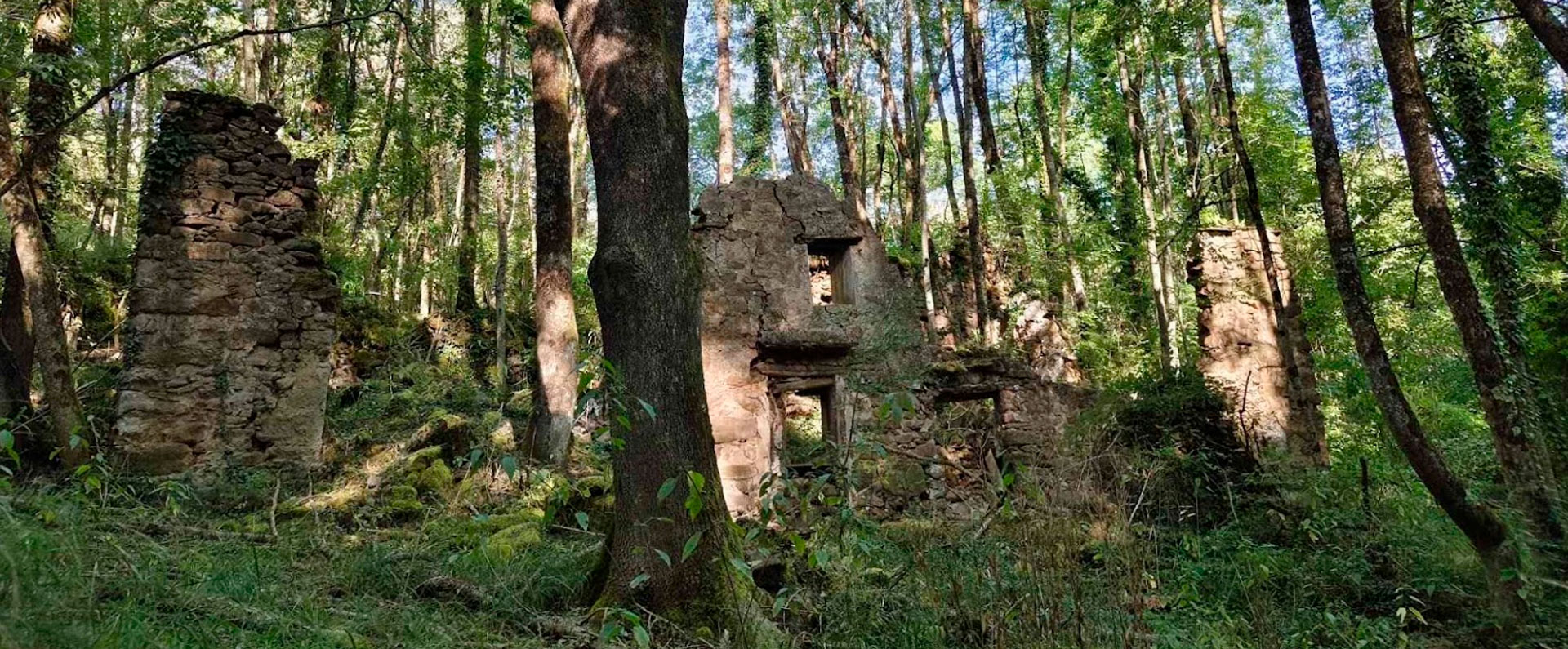 Milanyada, la Caminada Popular de Vallfogona de Ripollès
