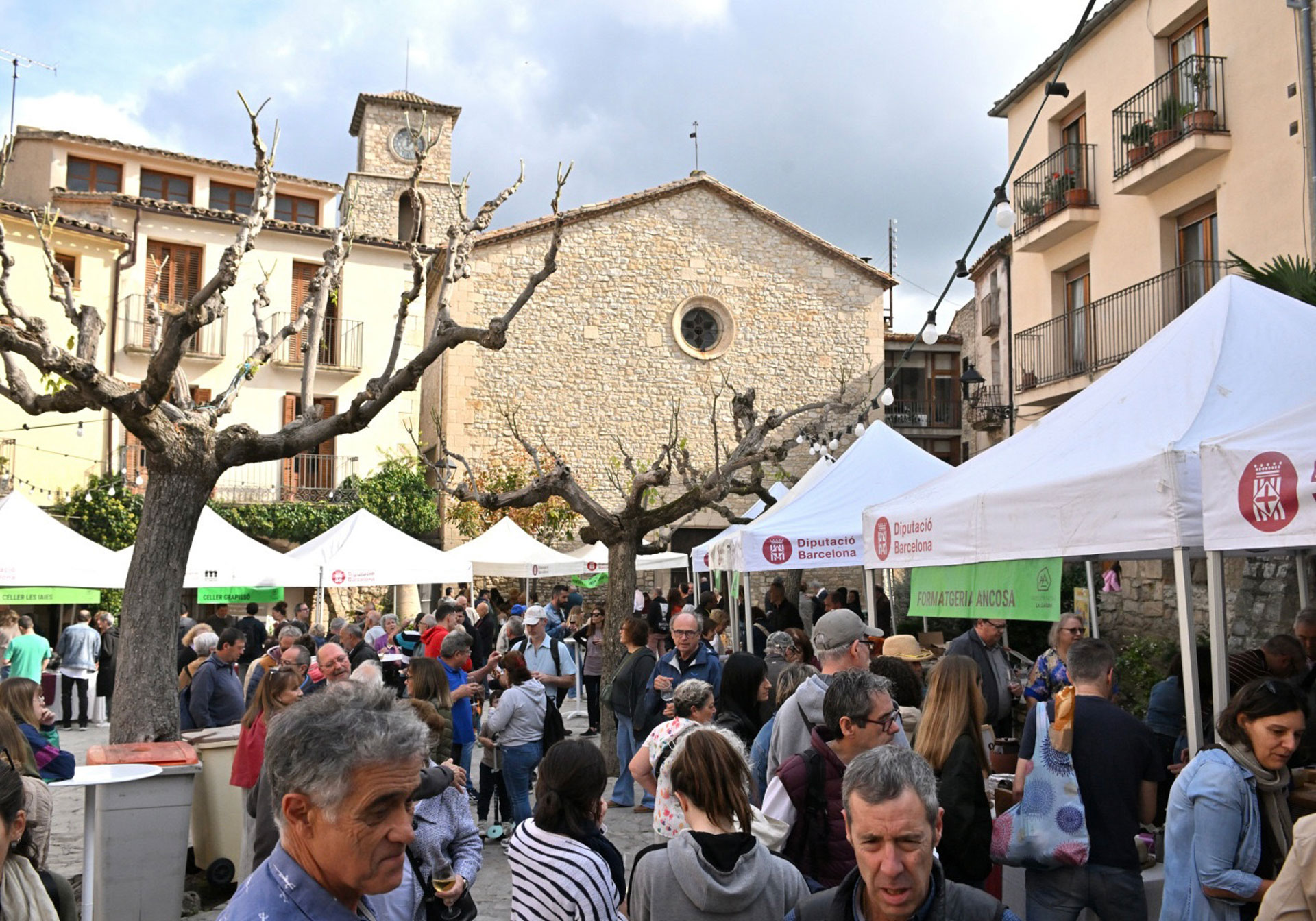 Mostra de Vins d'Altura - La Llacuna (Foto: Ajuntament)
