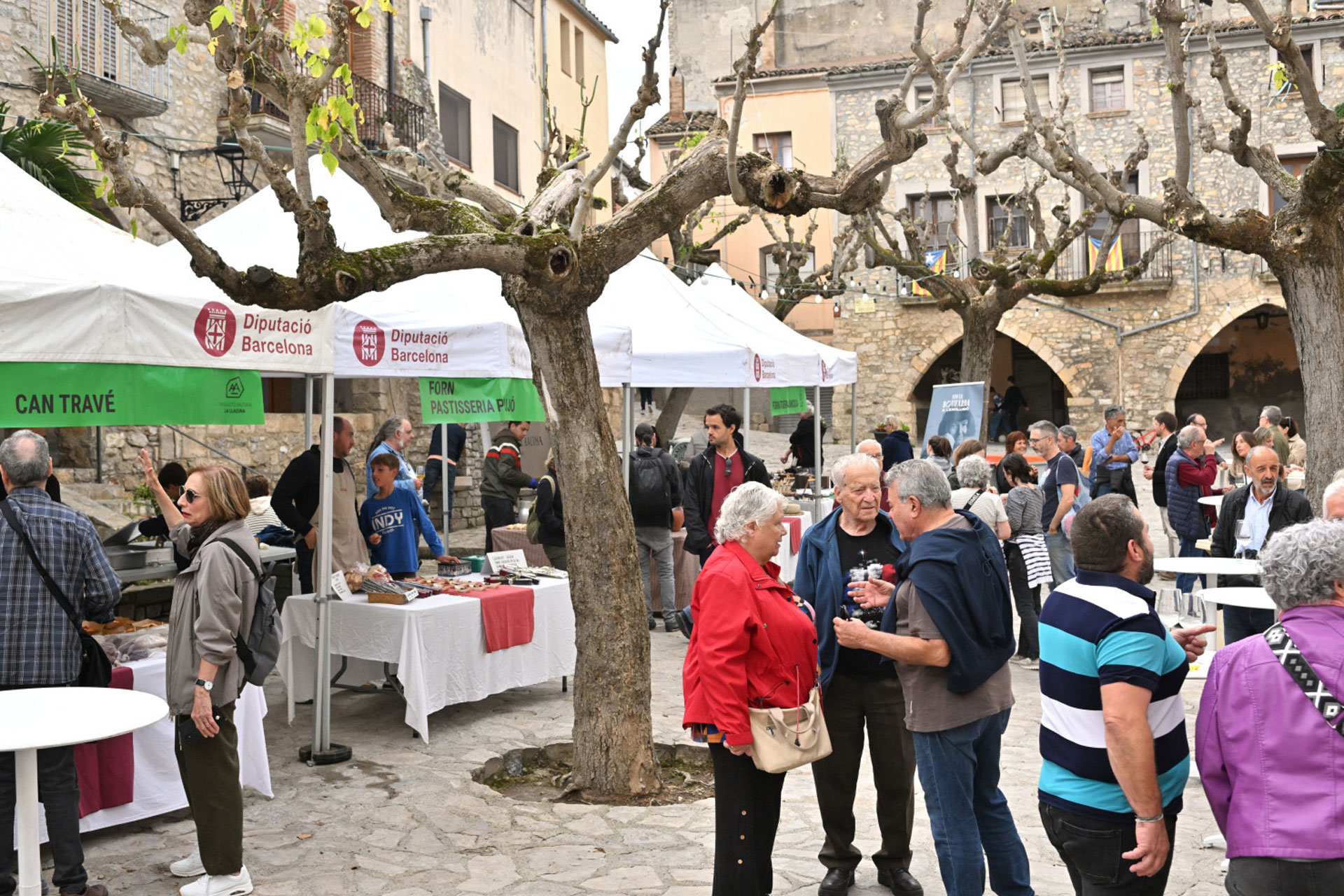 Mostra de Vins d'Altura - La Llacuna (Foto: Ajuntament)