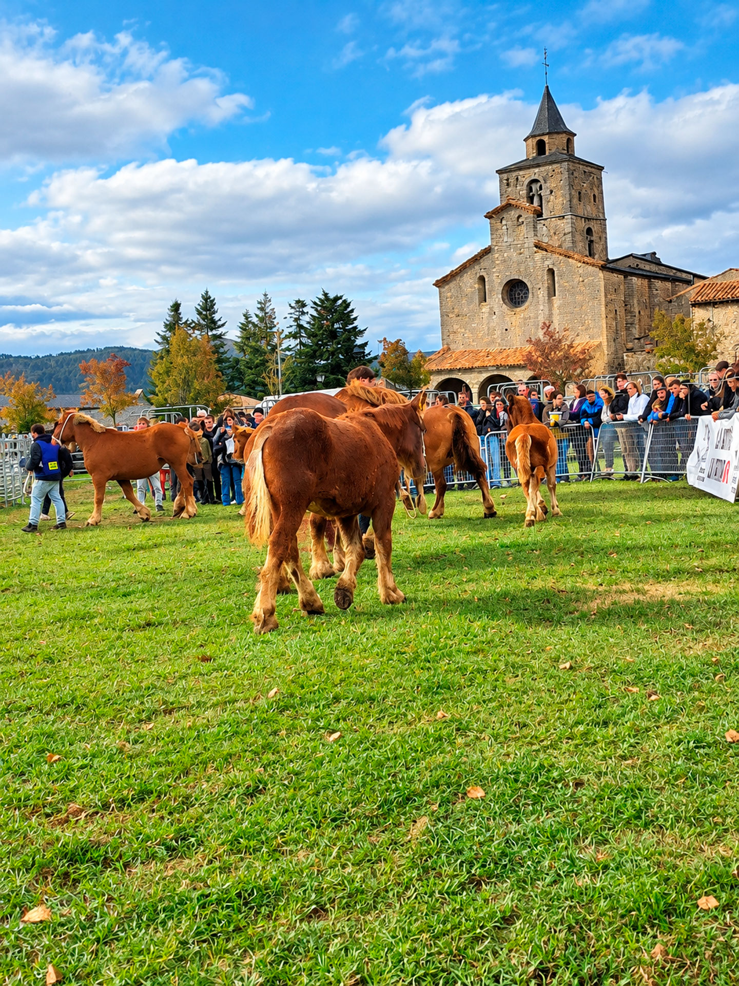 Fira ramadera - Bellver de Cerdanya (Foto: Ajuntament)