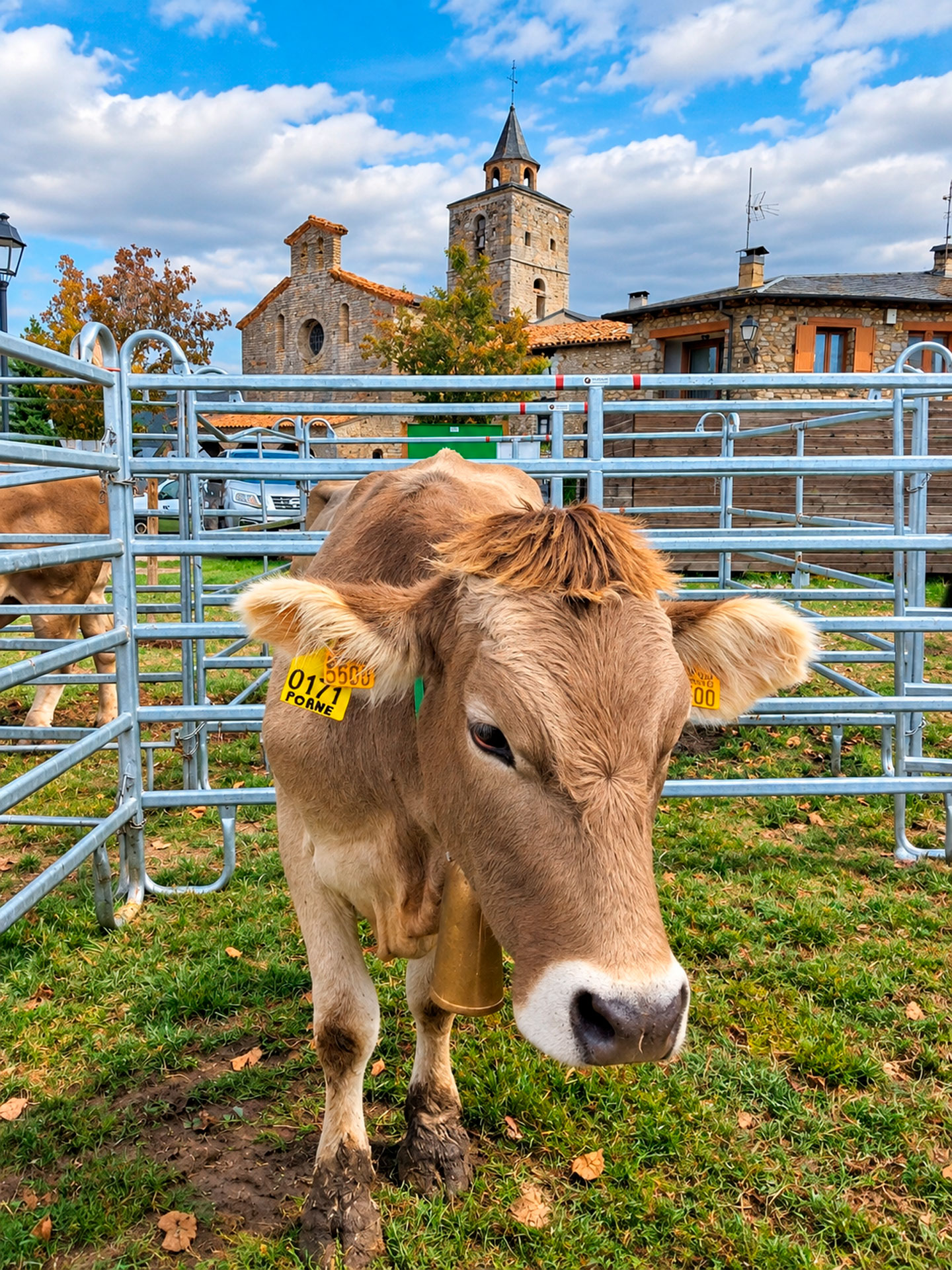 Fira ramadera - Bellver de Cerdanya (Foto: Ajuntament)