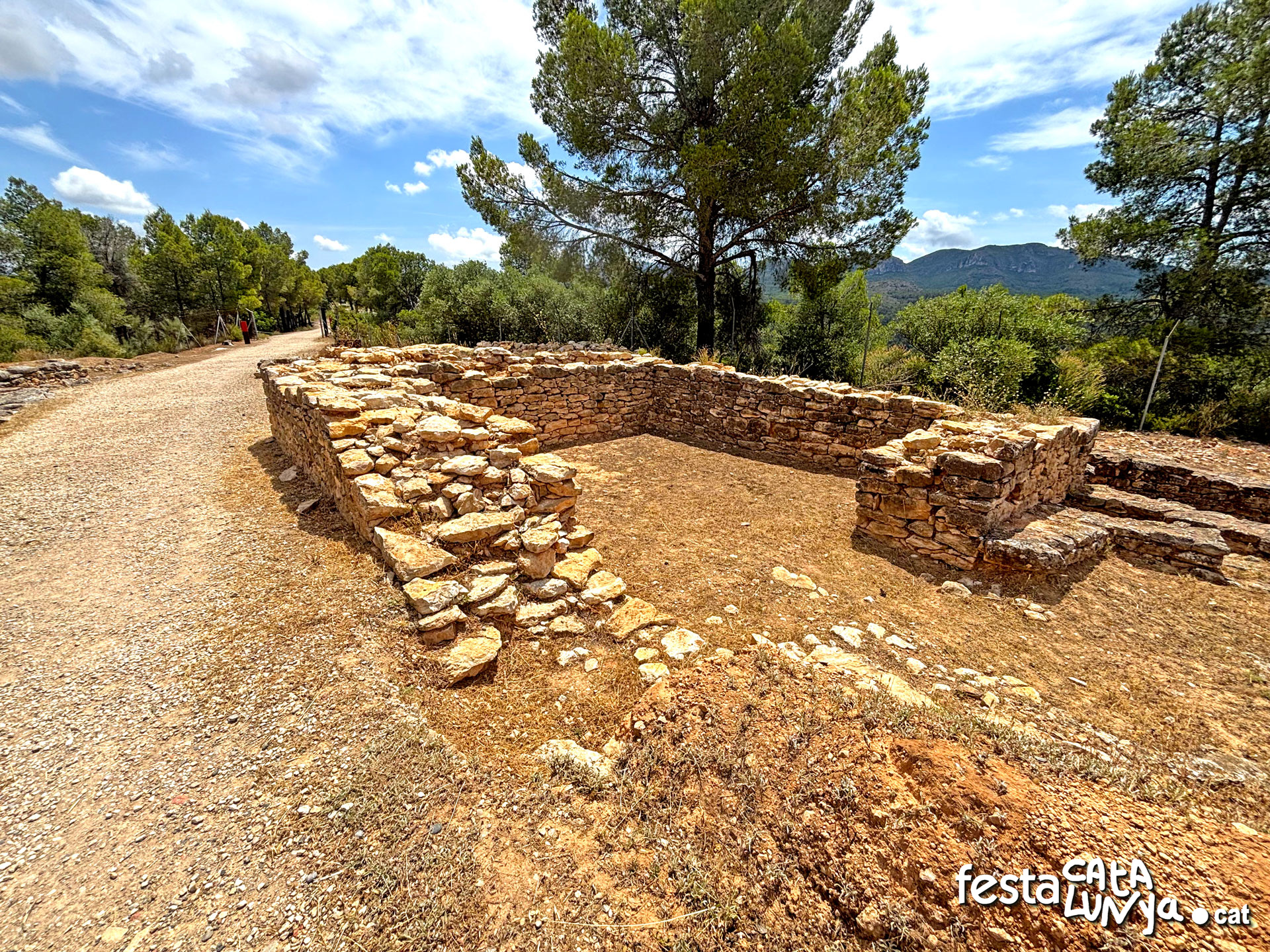 La ciutat ibèrica del Castellet de Banyoles - Tivissa