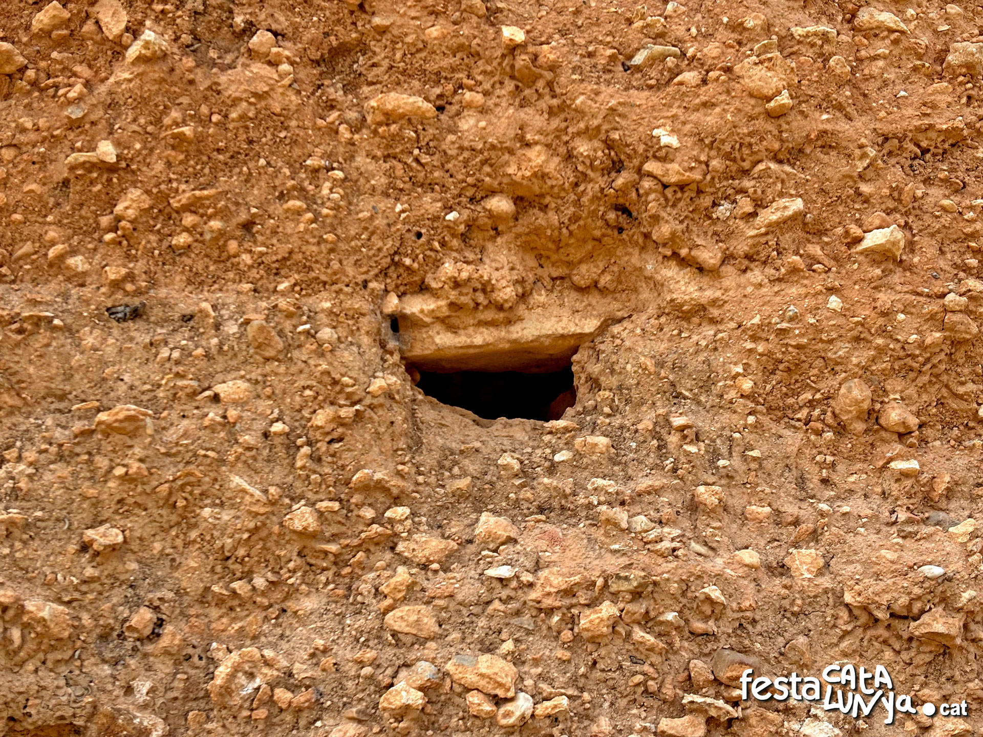 La ciutat ibèrica del Castellet de Banyoles - Tivissa