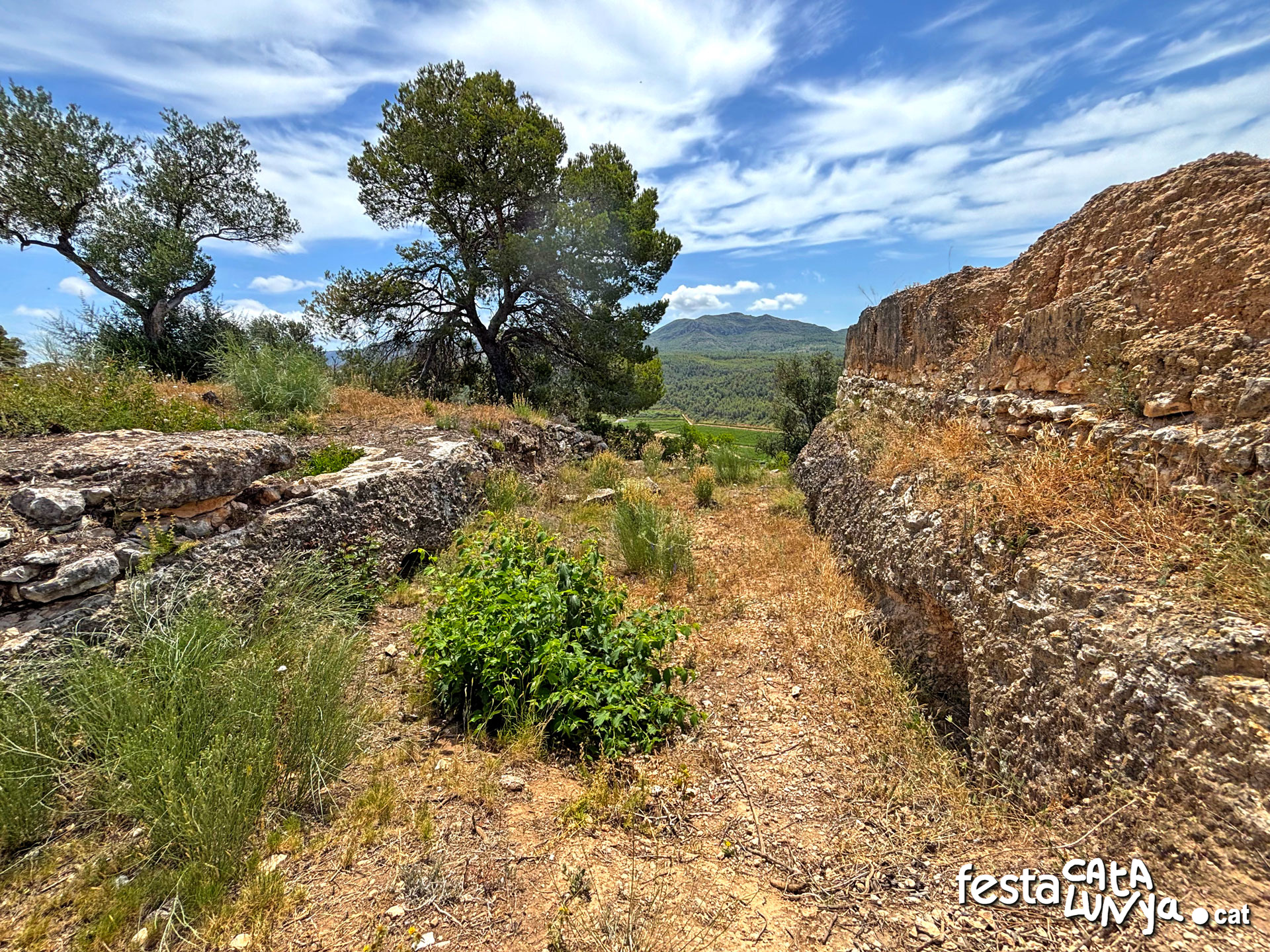 La ciutat ibèrica del Castellet de Banyoles - Tivissa